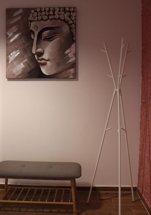 Apartament Rubin براشوف المظهر الخارجي الصورة