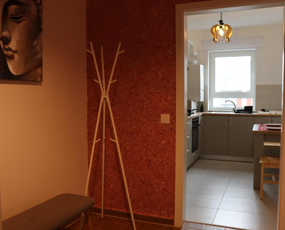 Apartament Rubin براشوف المظهر الخارجي الصورة
